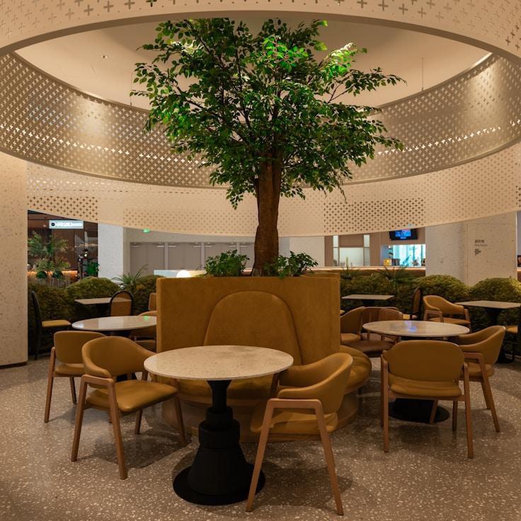 School choices for expat families in Zurich, Switzerland